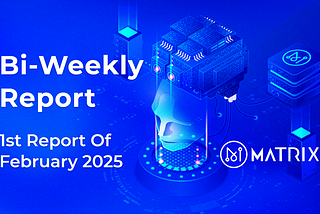 1st Report Of February 2025