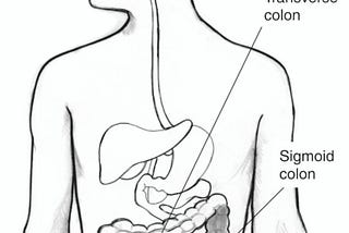 Cleanse your Colon Naturally at Home