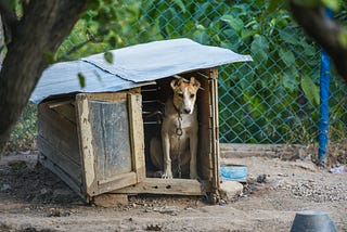 A photo of a doghouse