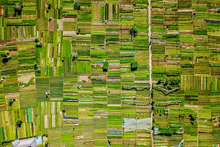 Aerial view of a field in Vietnam