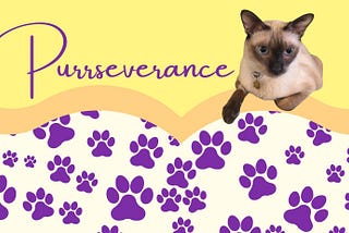 Purrseverance Submission Guidelines