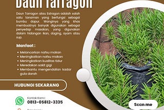 jual Daun Tarragon , WA 0813–5812–3335, Kartika Puri Asri housing