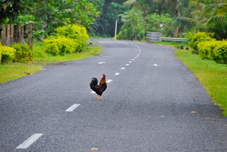 Why did the Philosophical Chicken cross the road?