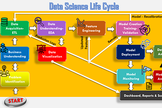 The Data Science Life-Cycle