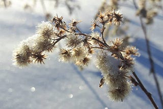 Writing to Find Meaning in the Mundane