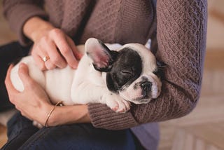 The Dog’s Devotion..Poem..