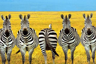 To be different or to be better?!