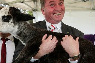Why Barnaby Joyce is in for one heck of a battle
