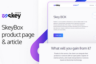 Skey Box — a secure and easy-to-use blockchain that will take your business to Web 3.0.
