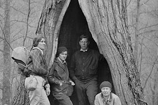 Giant Trees of Appalachia and the People Who Lived in Them