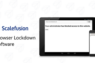 What is Browser Lockdown Software?