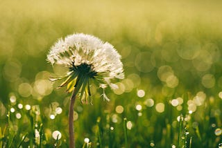 How Spiritual Mentor Ramona Galey Found Comfort (and a Whole New Perspective) Talking to Her…