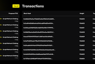 ⛓️ Script Chain: A Full-Scale Transformation Explained