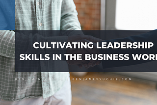 Cultivating Leadership Skills in the Business World | Professional Overview