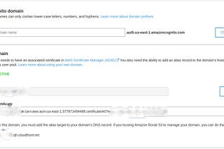 Using your own domain in AWS Cognito Hosted UI