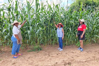 Birmingham’s Bush Hills neighborhood reaps harvest of produce and community connections