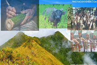 “ MAHALTA: The significance of the Mangyan, Halcon and Tamaraw preservation efforts in keeping the…