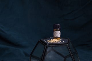 Opioid Epidemic- Transition Design Research- In Progress