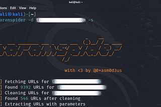 How to Use ParamSpider Tool — For Bug Bounty