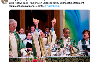 Sharing the Cat’s Gift: The Episcopal Church, the United Methodist Church, and the Historic…
