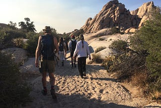 Visiting Joshua Tree: a desert dweller’s guide