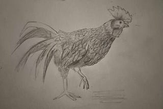 I started a drawing hobby two months ago. Here’s my progress