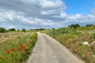 Footpath through poppies and vineyards in Trausse, France.