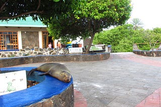 How to be Glamorous (yet cheap) in the Galapagos