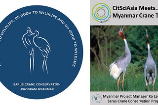 CitSciAsia Meets… the Myanmar Crane Team