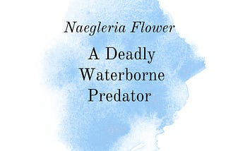 Naegleria Fowleri: A Deadly Waterborne Predator