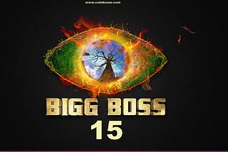 Bigg Boss 15: Why? This season failed.