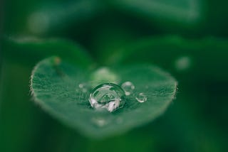 Food production, fossil fuels, and innovative entrepreneurs: ETF Partners’ dispatches from COP28