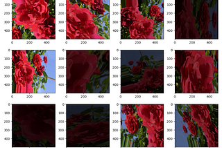 Exploring Different Image Augmentation Methods in TensorFlow/Keras