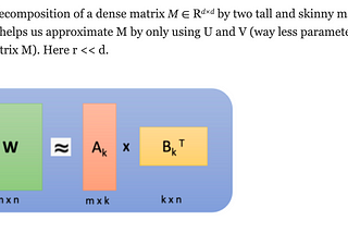 Compressing LLMs With Low Rank Decomposition Of Attention Matrices