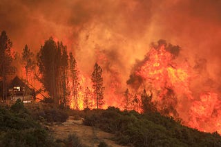 From California to Finland, What Can We Learn about Forest Management