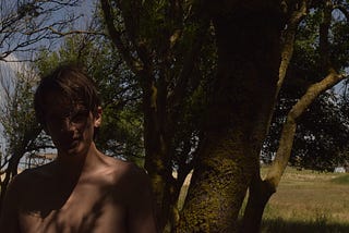 Ruminated Clarity