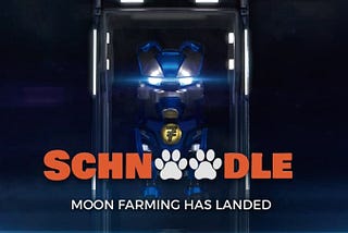 Schnoodle Launches its Moon Farming Platform