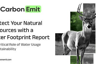 Protect Your Natural Resources with a Water Footprint Report