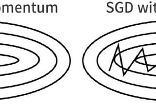 Batch SGD with Momentum.