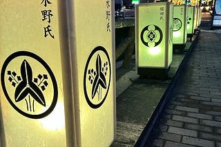 A cold and brilliant night at a beautiful Japanese castle