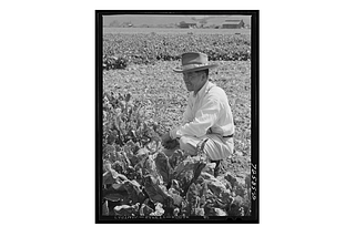 The 19th and 20th-Century Roots of Anti-Asian Land Laws