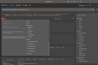 Fast One-Shot Passive Recon Script with Netlas.io