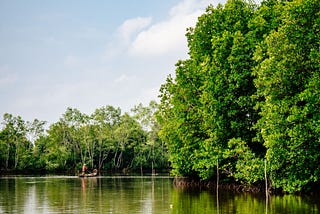 The Human Element of Mangrove Management