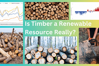 Is Timber a Renewable Resource Really?