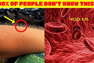 20 Fun Facts about the Human Body that will blow your Mind.