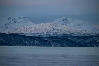 Narvik fjord, with snow covered mountains in the background and an icy cold fjord in the foreground.