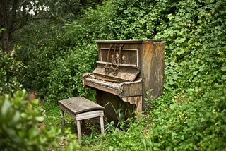 Forest Music, Monterey, California