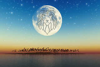 Full Moon In Leo|Emotions Are High For Creation