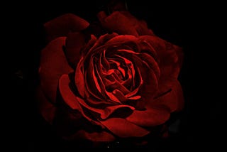 A ROSE BY ANY OTHER NAME…
How A Name Really Can Influence Who We Become.