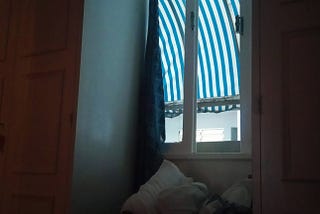 Fragmentos insones: hábitos de lagarta